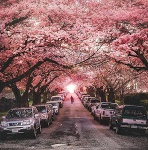 Meet your Posher, Raymond